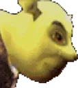 A screenshot of Shrek from some GBA Shrek game. It is very scuffed and bad looking
